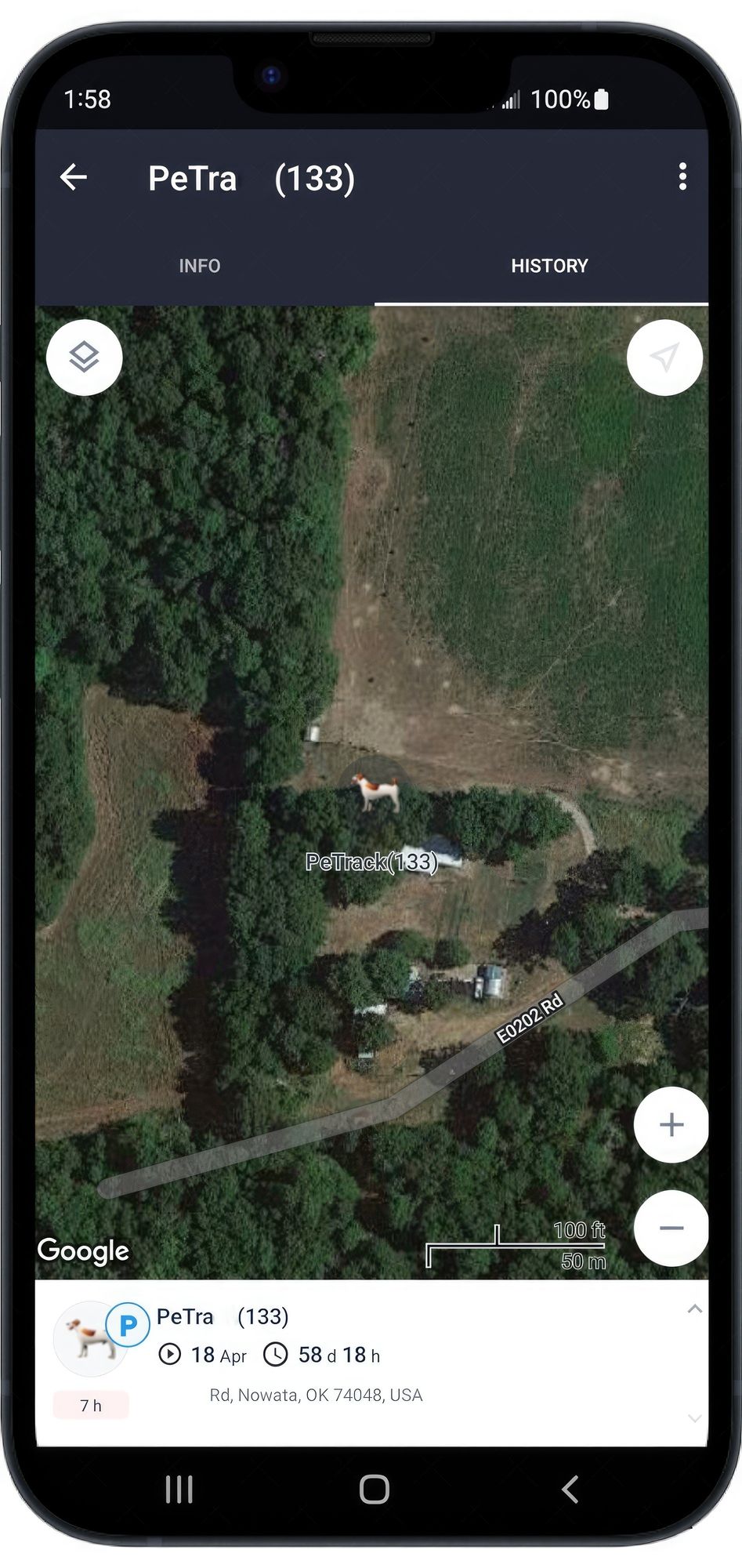 568294441