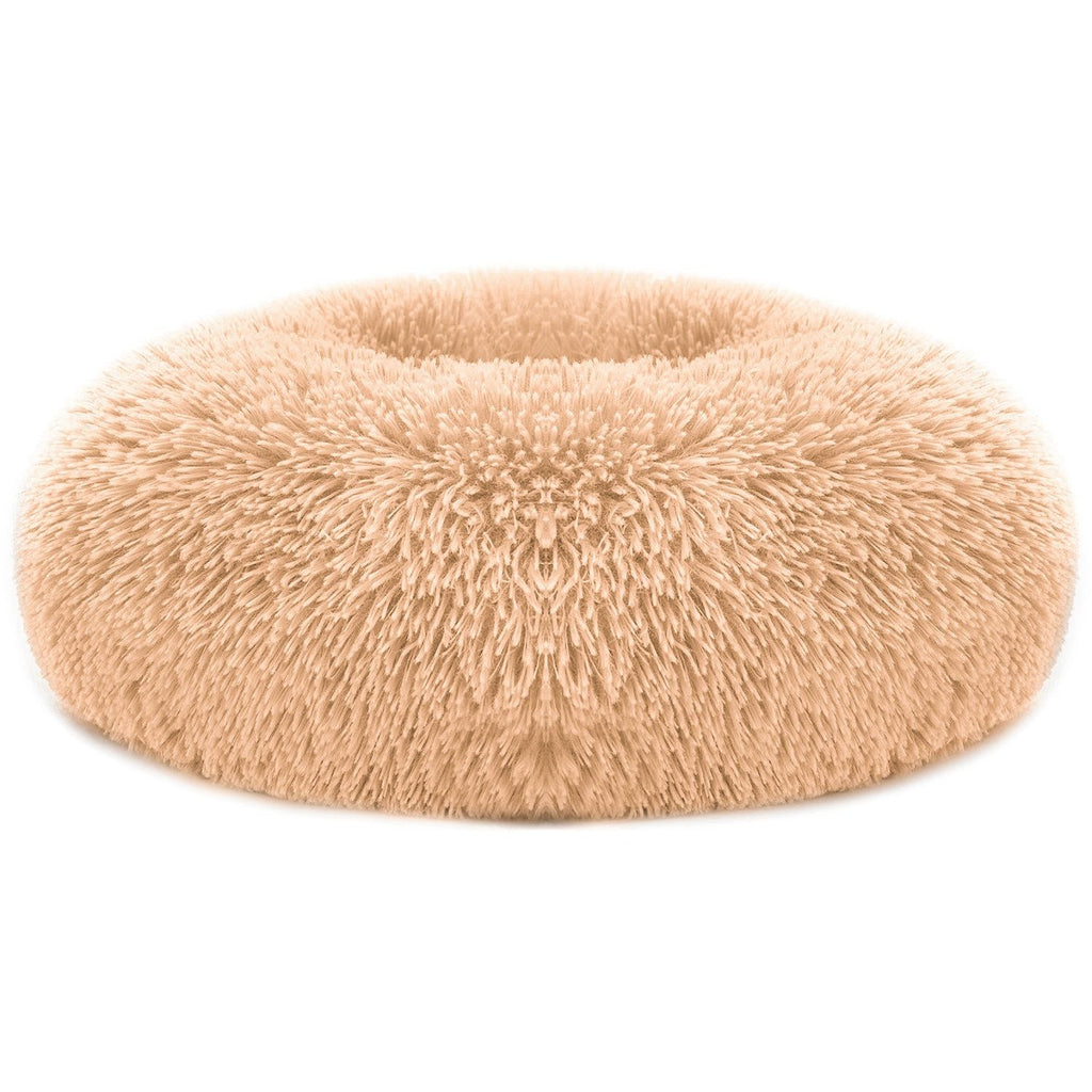 569248651