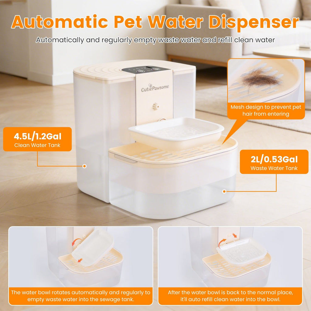 568499231